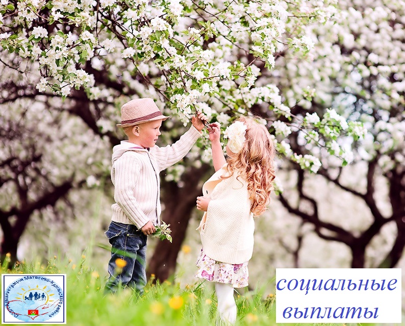 Социальные выплаты - селяне