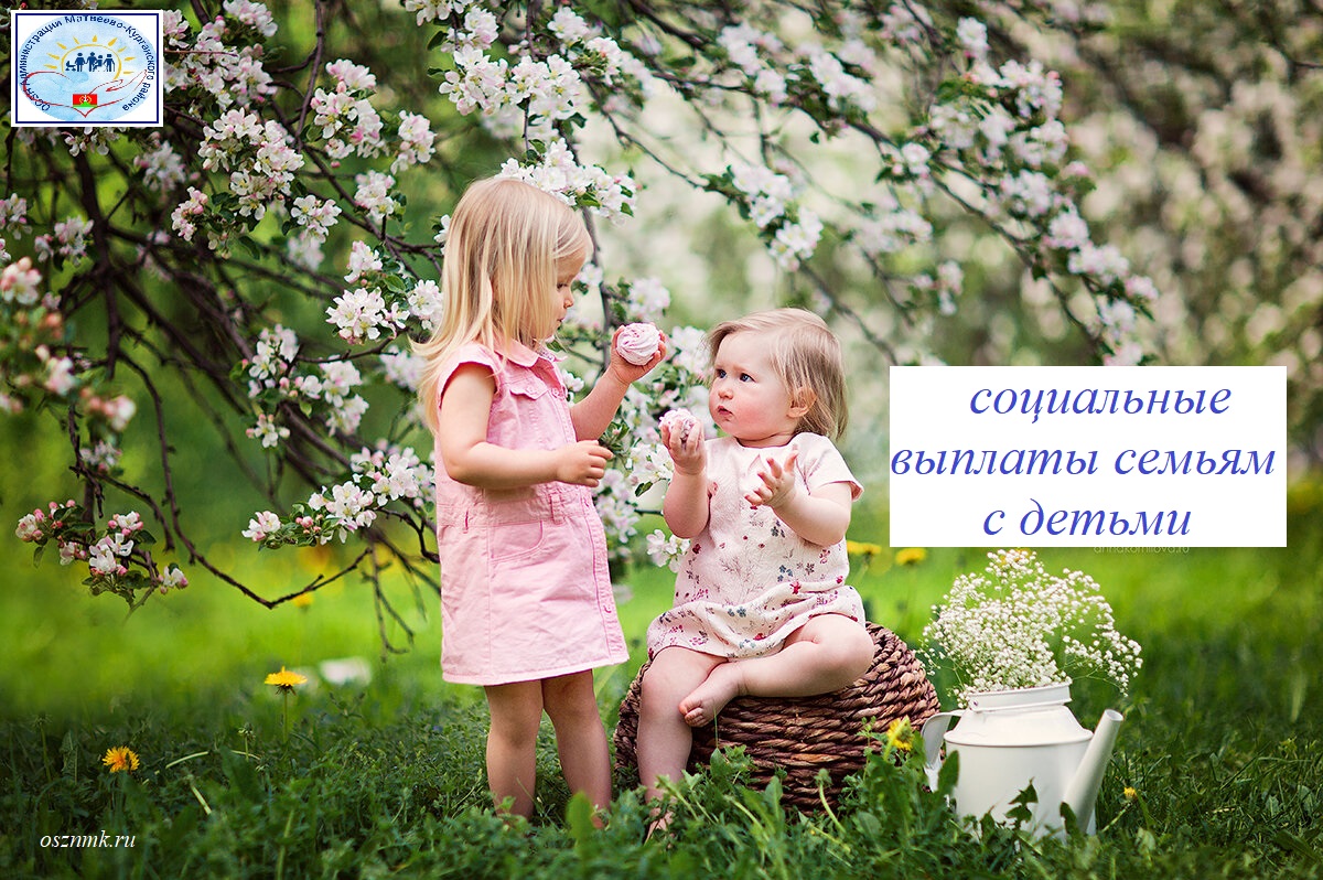 Социальные выплаты - многодетные