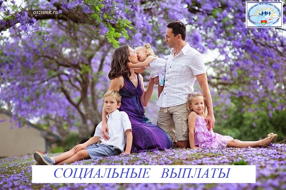 Социальные выплаты - многодетные