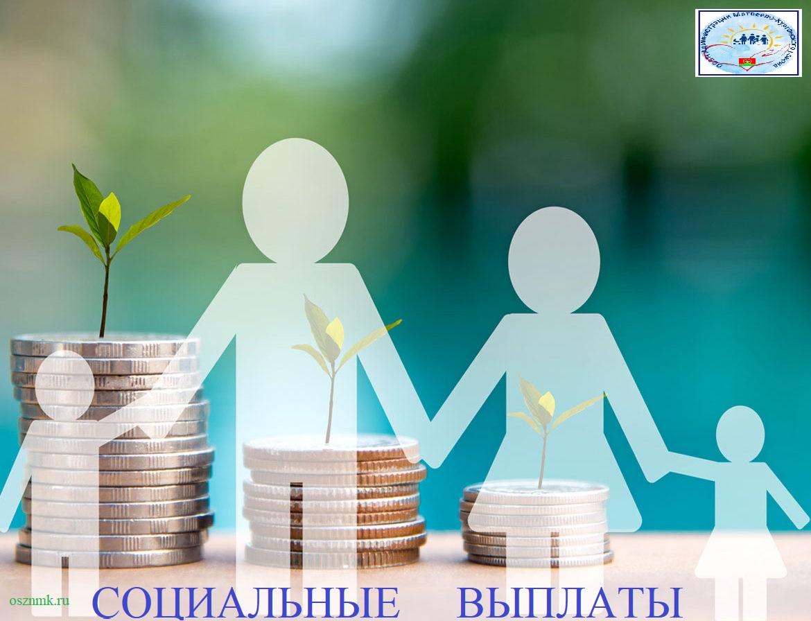 Социальные выплаты - АСВ