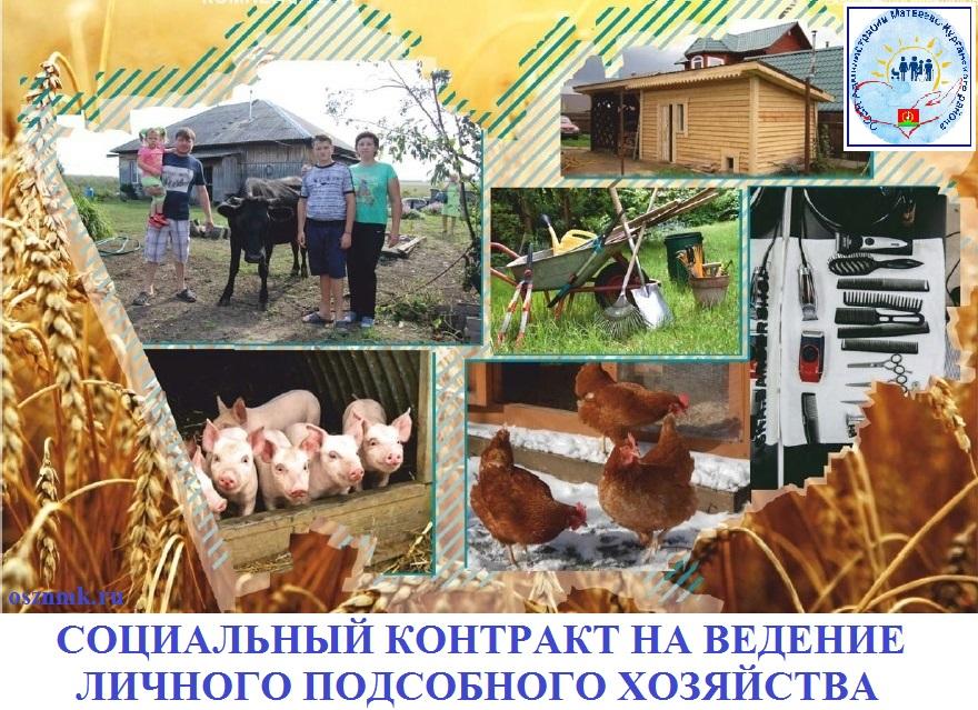 Государственная социальная помощь на основании социального контракта за счёт средств областного бюджета